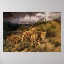 En familj av Lions Affisch