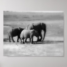 En familjangelägenhet print