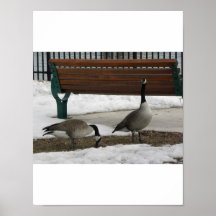 En gå i parkera posters