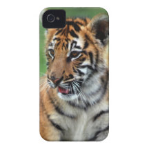 En gullig bebistiger iPhone 4 fodral