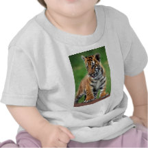 En gullig bebistiger t shirts