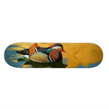 En Male MandarinankaAix Galericulata på solnedgång Skateboards