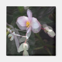 En mycket liten blomma magneter