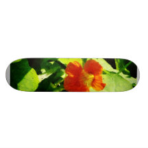 En orange Nasturtium Skate Boards