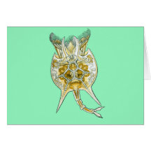 En Rotifer Hälsnings Kort