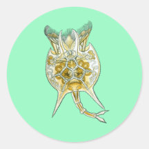 En Rotifer Klistermärken