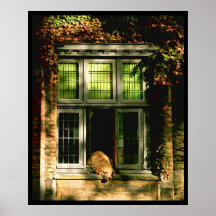 En ta sig en tupplur i solen - Bruges Posters