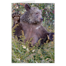 En vinka Grizzlybjörn Hälsnings Kort