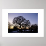 En vinter träd affischer