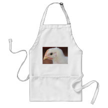 endast chick förkläden
