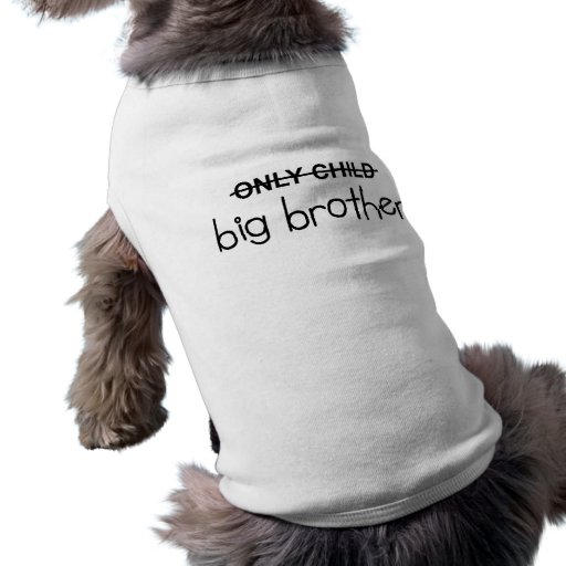 Endast storebror djur tshirt