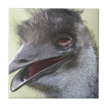 Enfaldig Emu Kakel