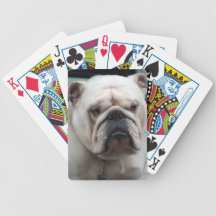 Engelsk bulldogghund för vit som leker kort