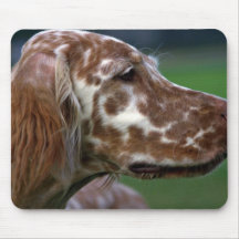 Engelsk Setter Mus Matta