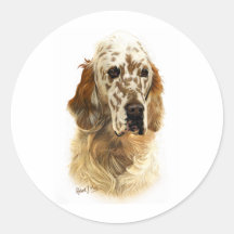 Engelsk Setter Runda Klistermärken