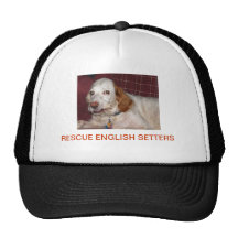 ENGELSK SETTER TRUCKER KEPS
