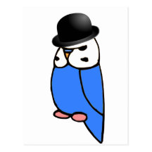 Engelska Budgie med hatten Vykort