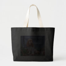 EngelskacockerspanielSpaniels Kassar