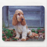 EngelskacockerspanielSpaniels Musmattor