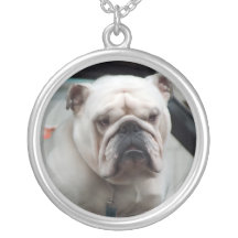 Engelskt bulldoggvithalsband