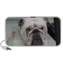 Engelskt bulldoggvitklotter iPhone högtalare