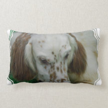 english-setter-37.jpg prydnadskuddar