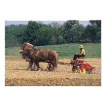 Enkelt folk för Amish land i lantbruk med Konstfoto