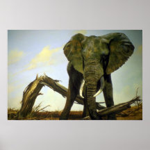 Ensam tjur, elefant posters