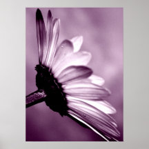 Ensamhet Posters