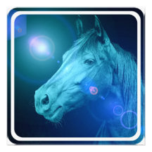 Equine designinbjudan