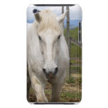 Equine iTouchcase för vit iPod Touch Case-Mate Case