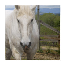 Equine vit belägger med tegel kakel