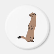 Ermine - hermelin - vessla magneter för kylskåp