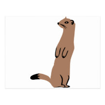 Ermine - hermelin - vessla vykort