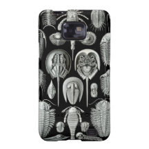 Ernst Haeckel - Aspidonia