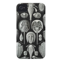 Ernst Haeckel - Aspidonia iPhone 4 Cover