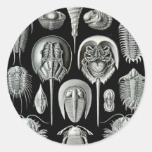 Ernst Haeckel - Aspidonia Klistermärke