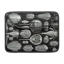 Ernst Haeckel - Aspidonia MacBook Pro Sleeves