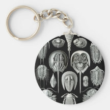 Ernst Haeckel - Aspidonia Nyckelring