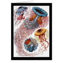 Ernst Haeckel Discomedusae Hälsningskort