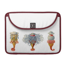 Ernst Haeckel Siphonophorae laptop sleeve Sleeve För MacBooks