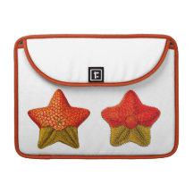 Ernst Haeckel sjöstjärnalaptop sleeve MacBook Pro Sleeves