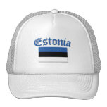 Estländsk  flagga keps