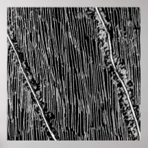 Etched-263 Affischer
