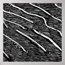 Etched-429 Affisch