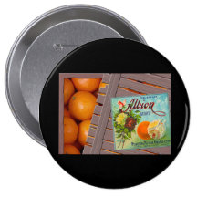 Etikett för låda för Albion orangefrukt Knapp Med Nål
