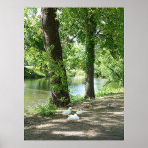 Ett andliv posters