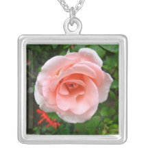 Ett annat rosa roshalsband