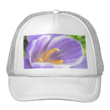 Ett bi öga beskådar - krokus baseball hat