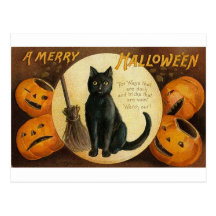 Ett glatt Halloween kattkort Vykort